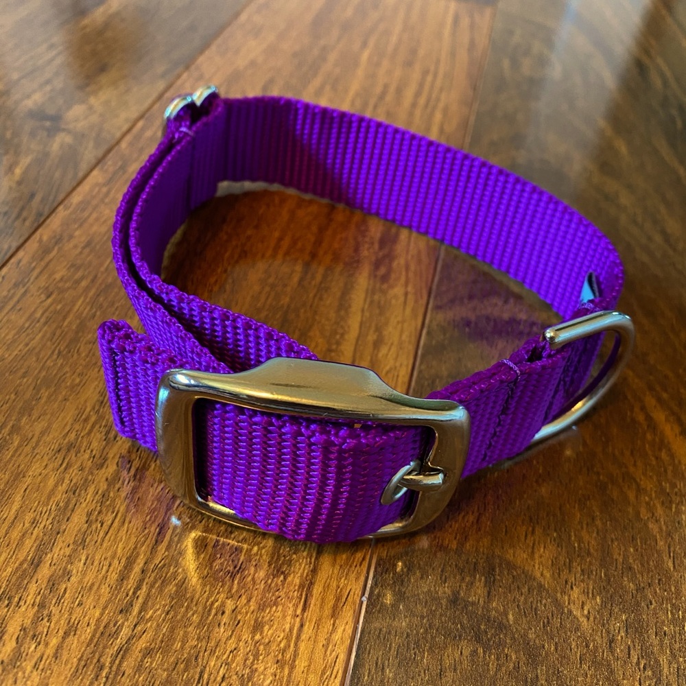 NWOT 1" wide purple webbing dog collar
